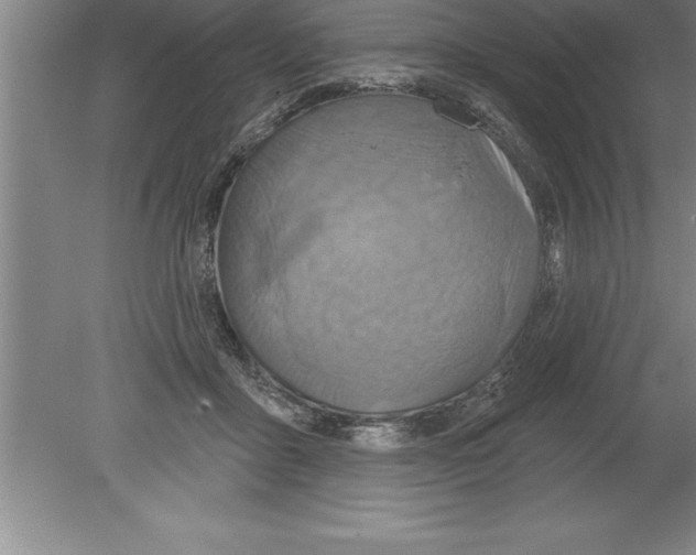 X0000079580411200612301412