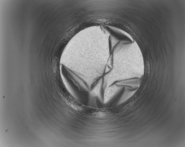 X0000079580412200612301412