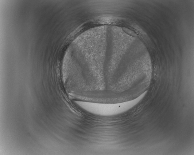 X0000079580413200612301412