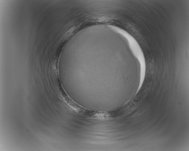 X0000079580415200612301412