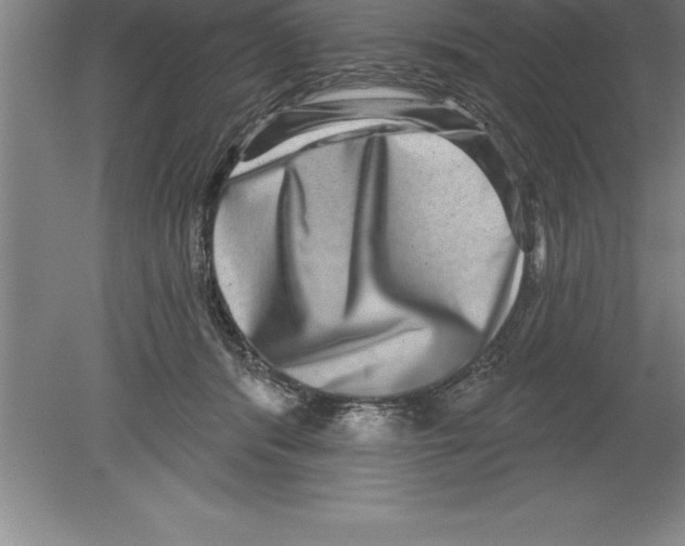 X0000079580416200612301412