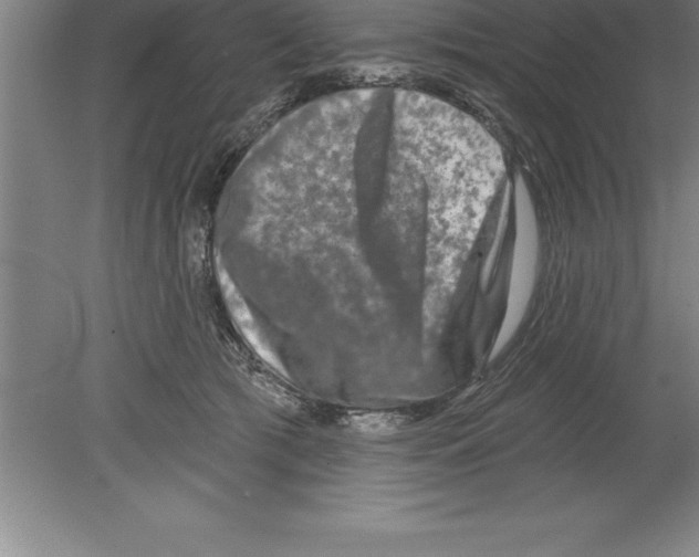 X0000079580417200612301412