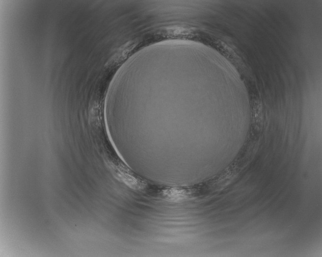 X0000079580419200612301412