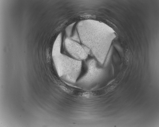 X0000079580420200612301412