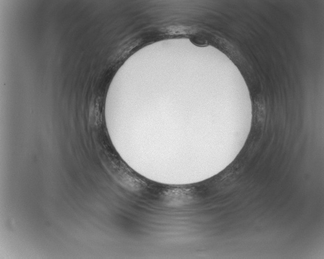 X0000079580422200612301412