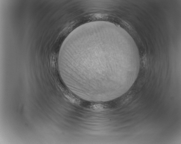 X0000079580423200612301411