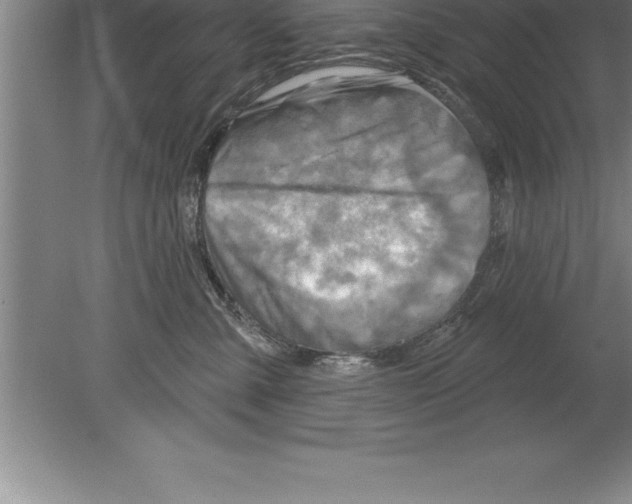 X0000079580427200612301411