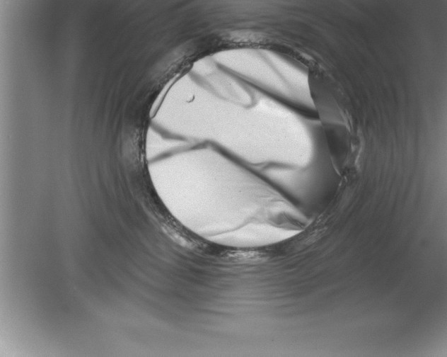 X0000079580428200612301411