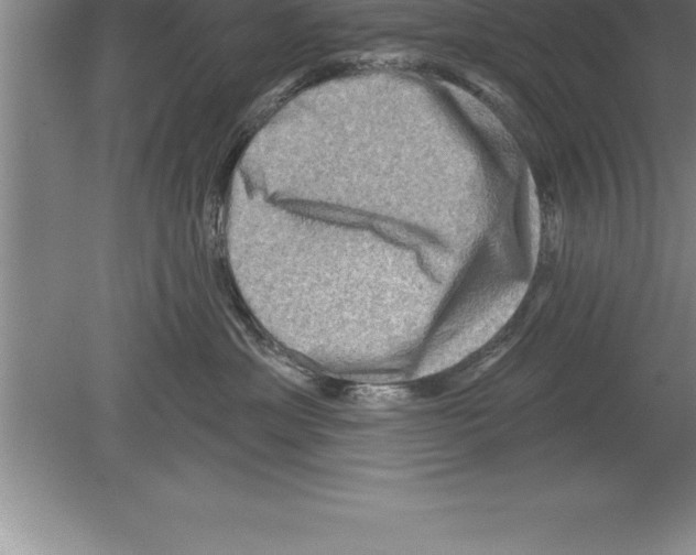 X0000079580429200612301411