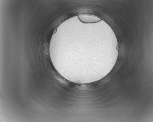 X0000079580430200612301411