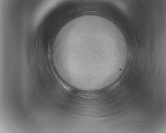 X0000079580431200612301411