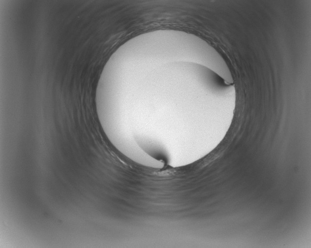 X0000079580432200612301411