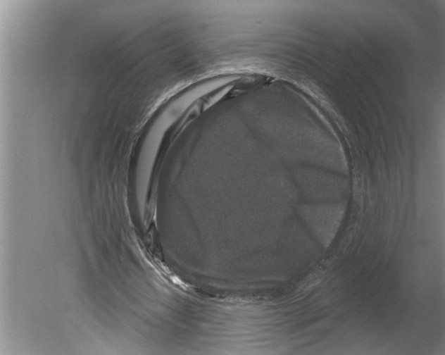 X0000079580434200612301411