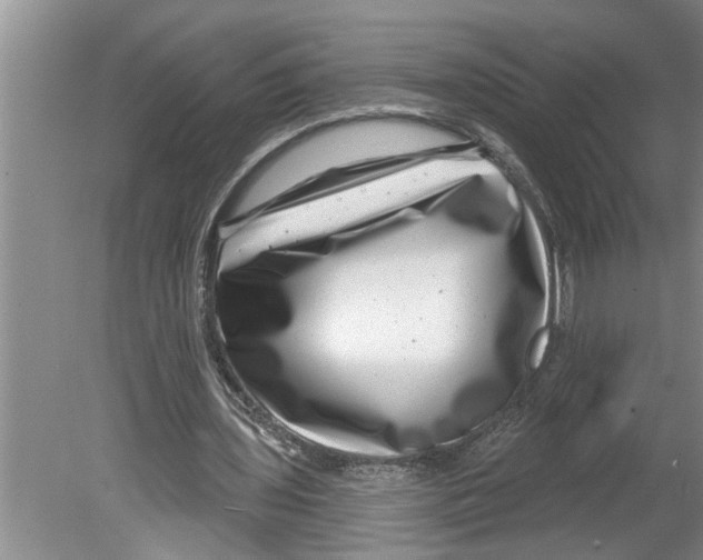 X0000079580435200612301411