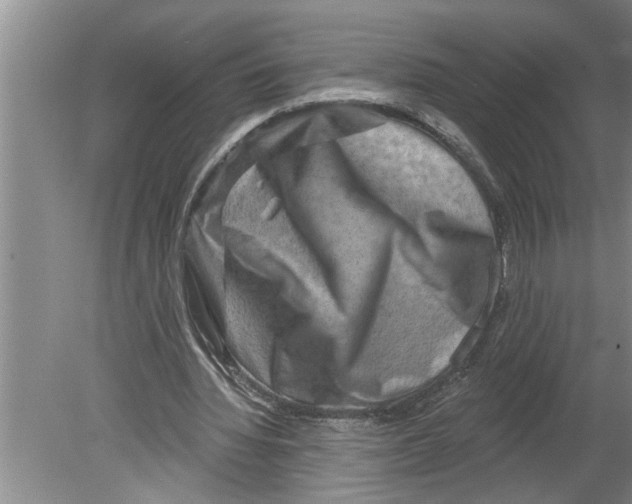 X0000079580436200612301411