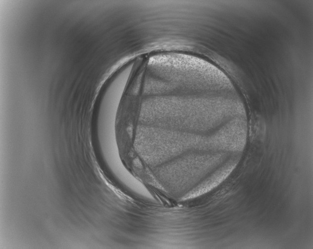 X0000079580438200612301411