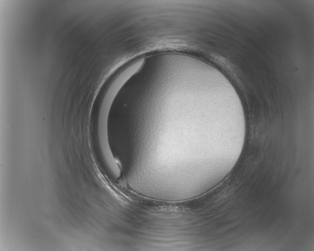 X0000079580439200612301411