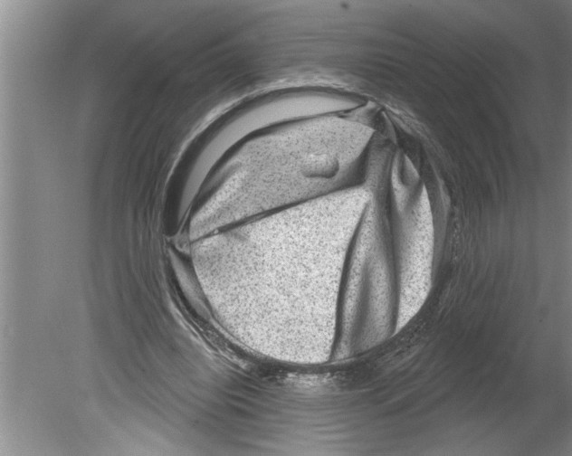 X0000079580440200612301411