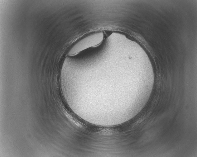 X0000079580441200612301411