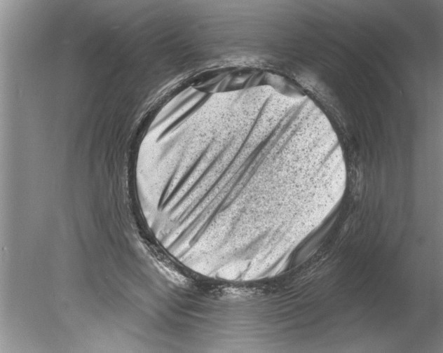 X0000079580442200612301411