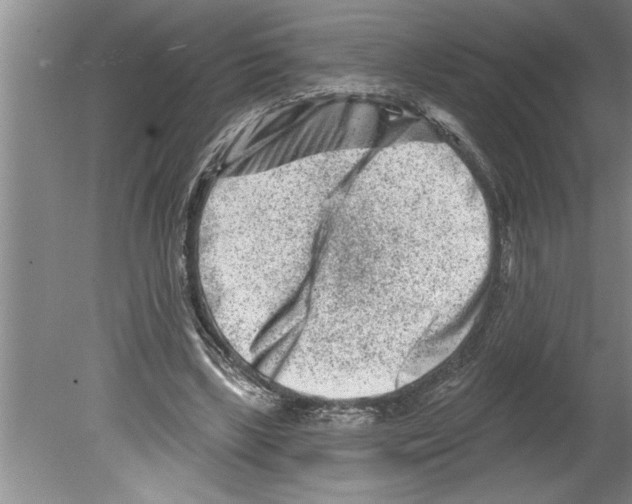 X0000079580443200612301411