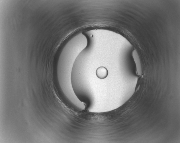 X0000079580444200612301411