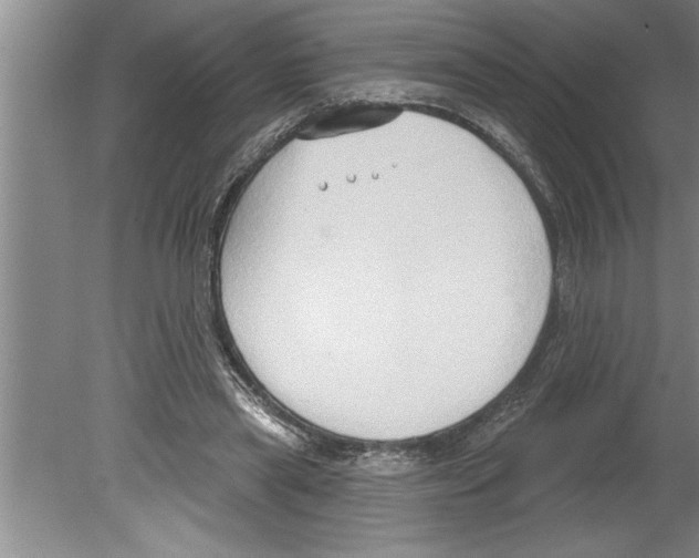 X0000079580445200612301411