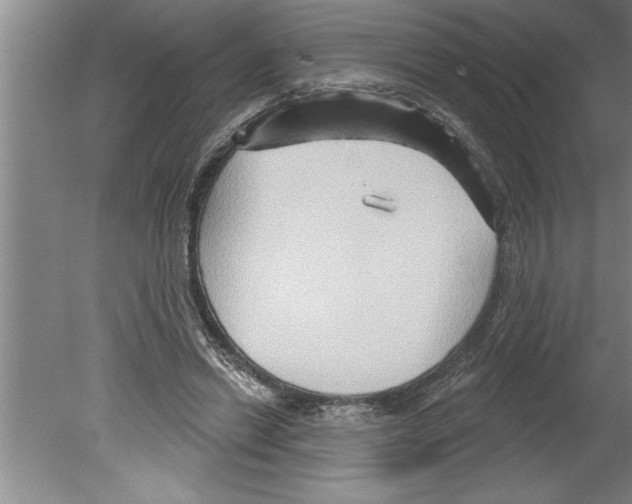 X0000079580446200612301411