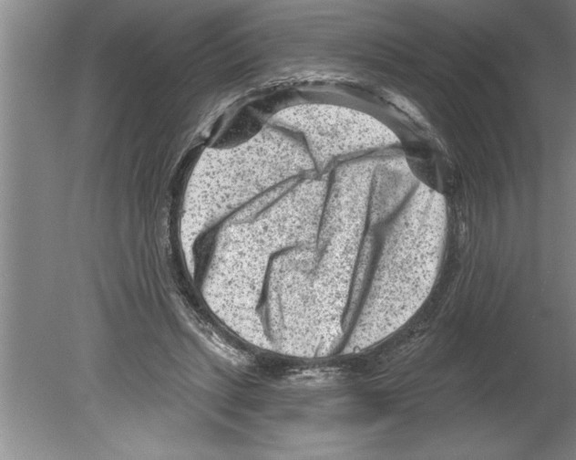 X0000079580447200612301411