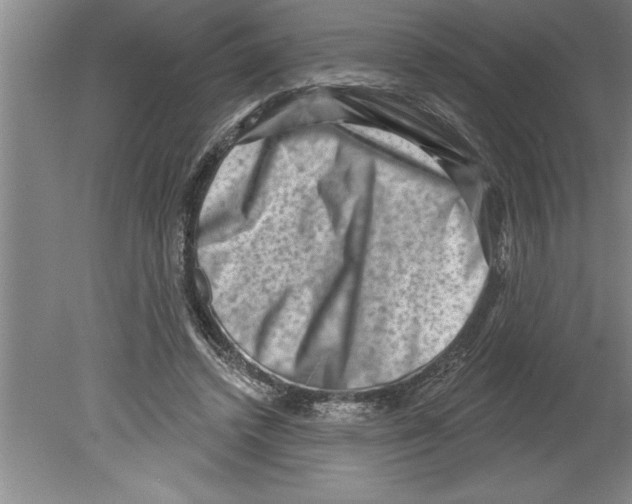 X0000079580448200612301411