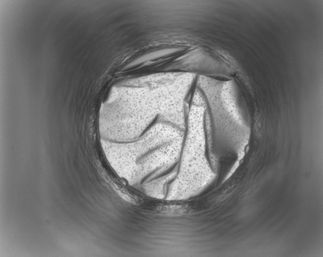 X0000079580449200612301411