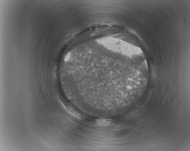 X0000079580451200612301411