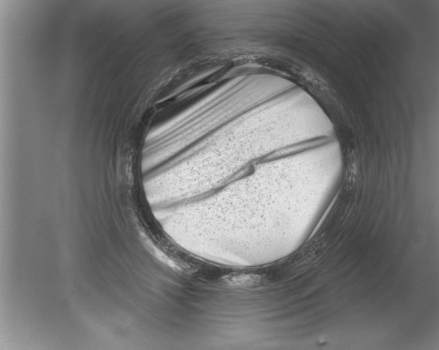 X0000079580452200612301411