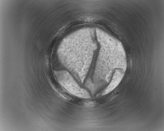 X0000079580456200612301411