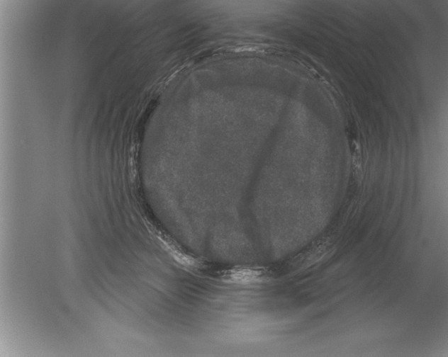 X0000079580462200612301411