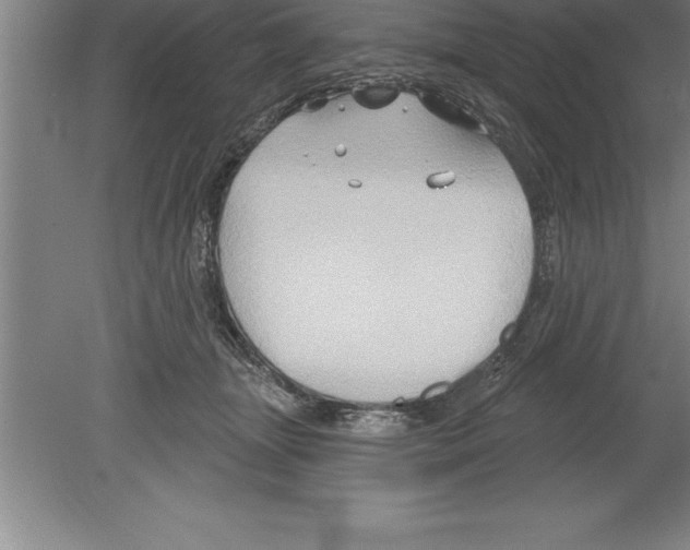 X0000079580463200612301411