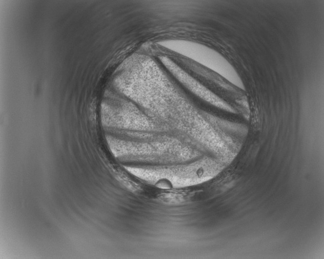 X0000079580466200612301411