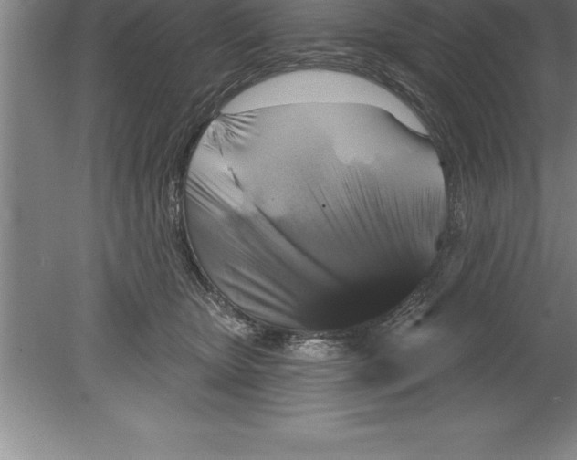 X0000079580467200612301411