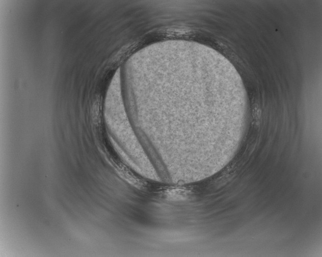 X0000079580468200612301411