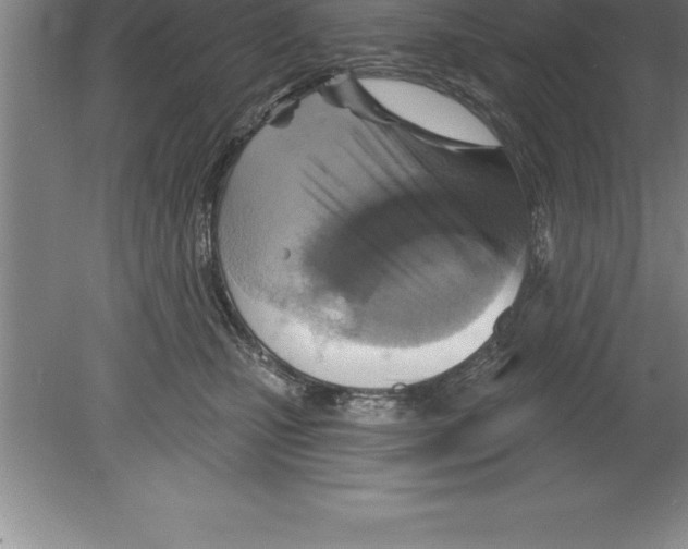 X0000079580471200612301411