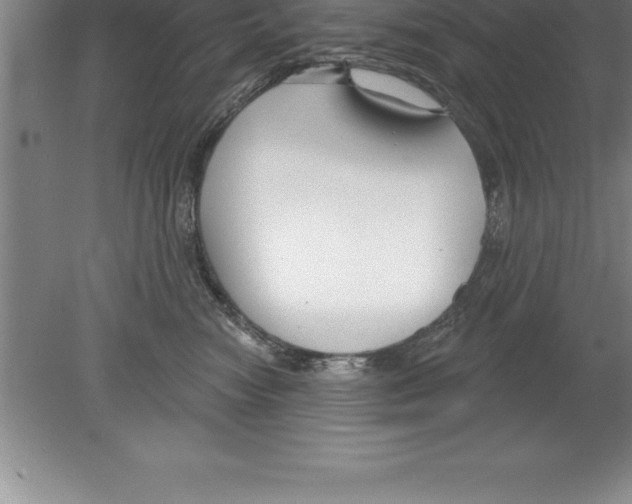 X0000079580474200612301411