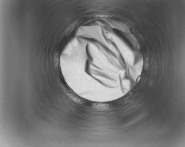 X0000079580476200612301411