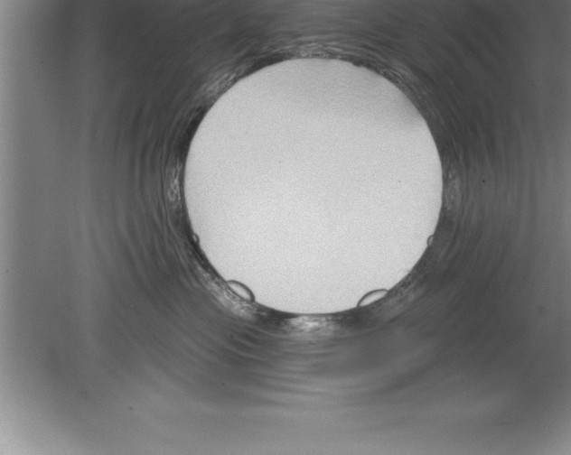 X0000079580477200612301411