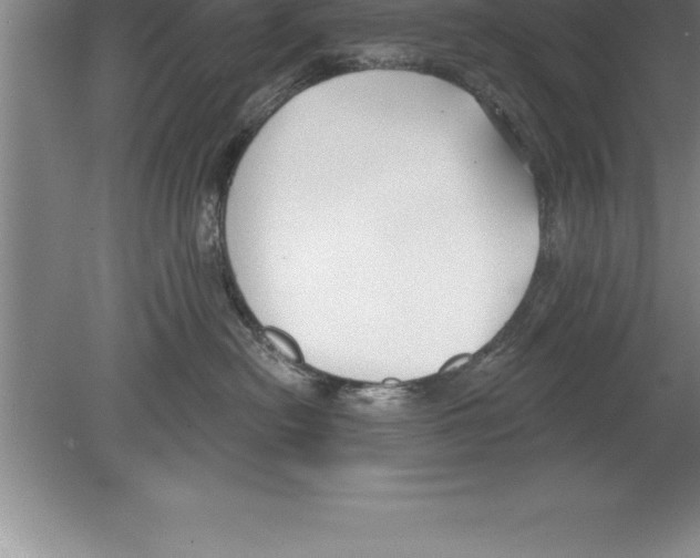 X0000079580478200612301411