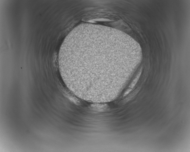 X0000079580480200612301411