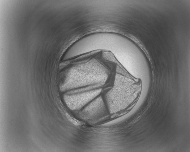 X0000079580481200612301411