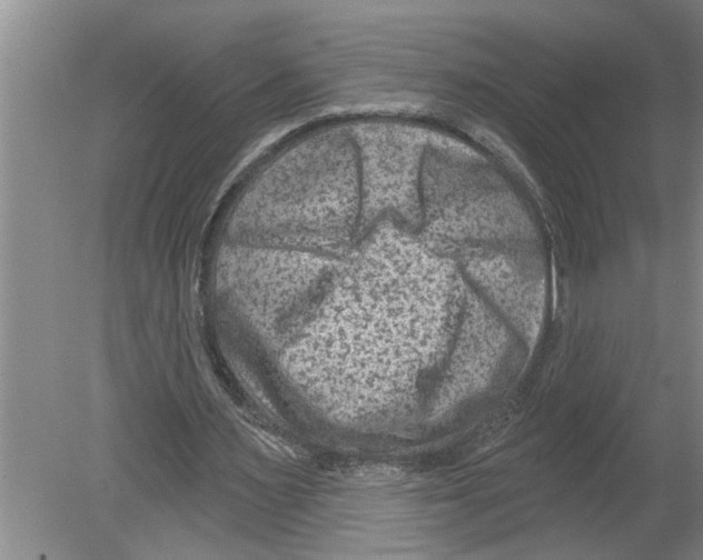 X0000079580483200612301410