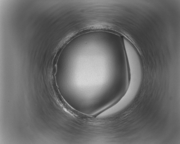 X0000079580485200612301410