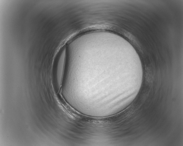 X0000079580486200612301410