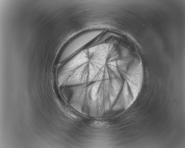 X0000079580487200612301410